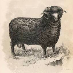 image026.jpg